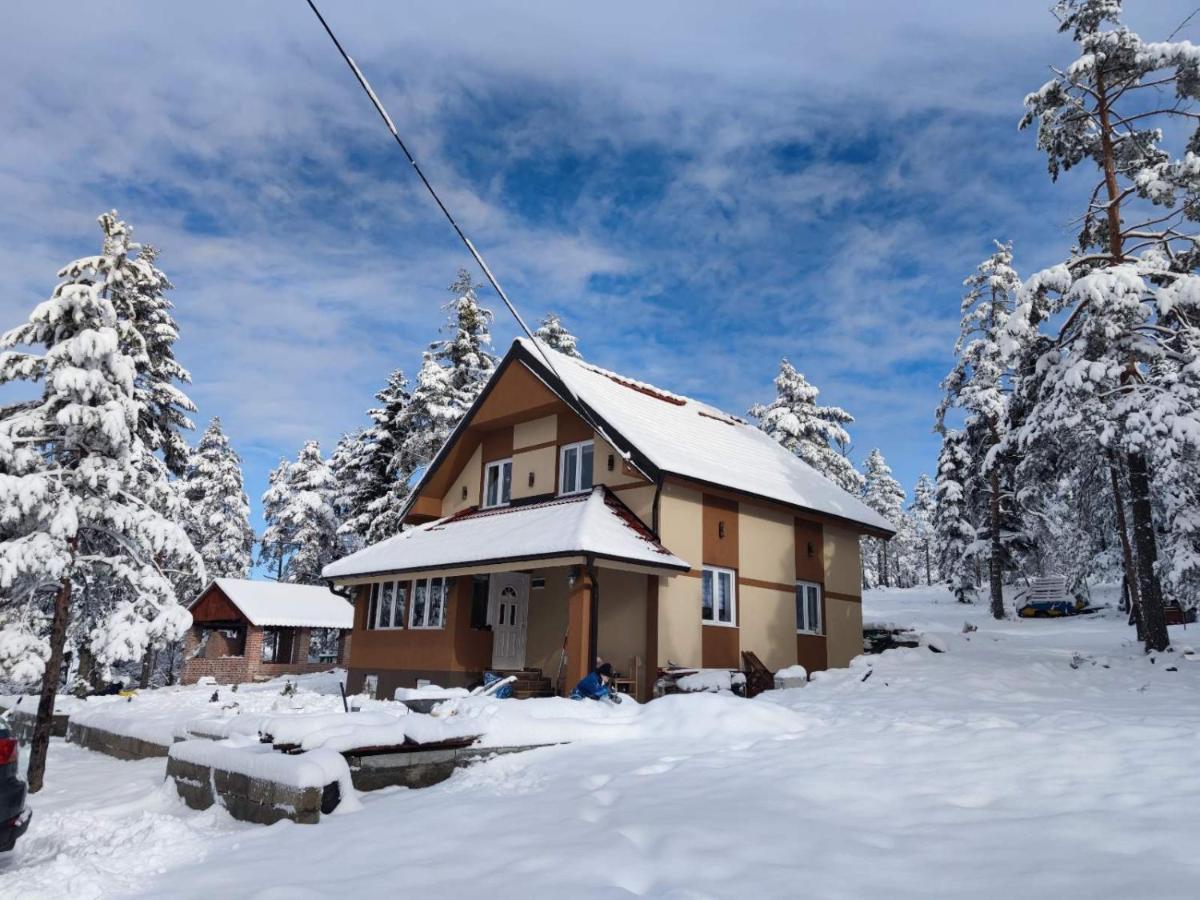Apartmani Milosavljevic Дівчибаре Екстер'єр фото